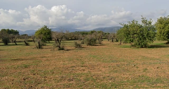 Building Plot for sale in Llucmajor - € 300,000 (Ref: 9057059)