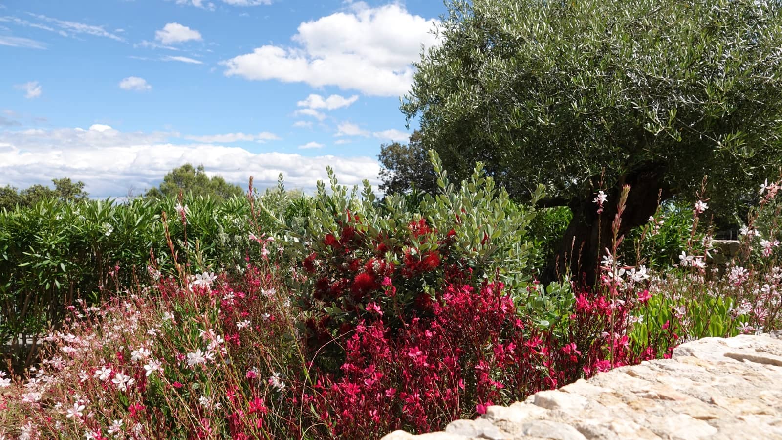 6 soveværelse Villa til salg i Pollensa / Pollenca med swimmingpool garage - € 4.975.000 (Ref: 9057060)