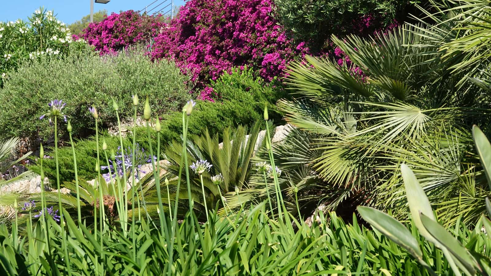 6 soveværelse Villa til salg i Pollensa / Pollenca med swimmingpool garage - € 4.975.000 (Ref: 9057060)