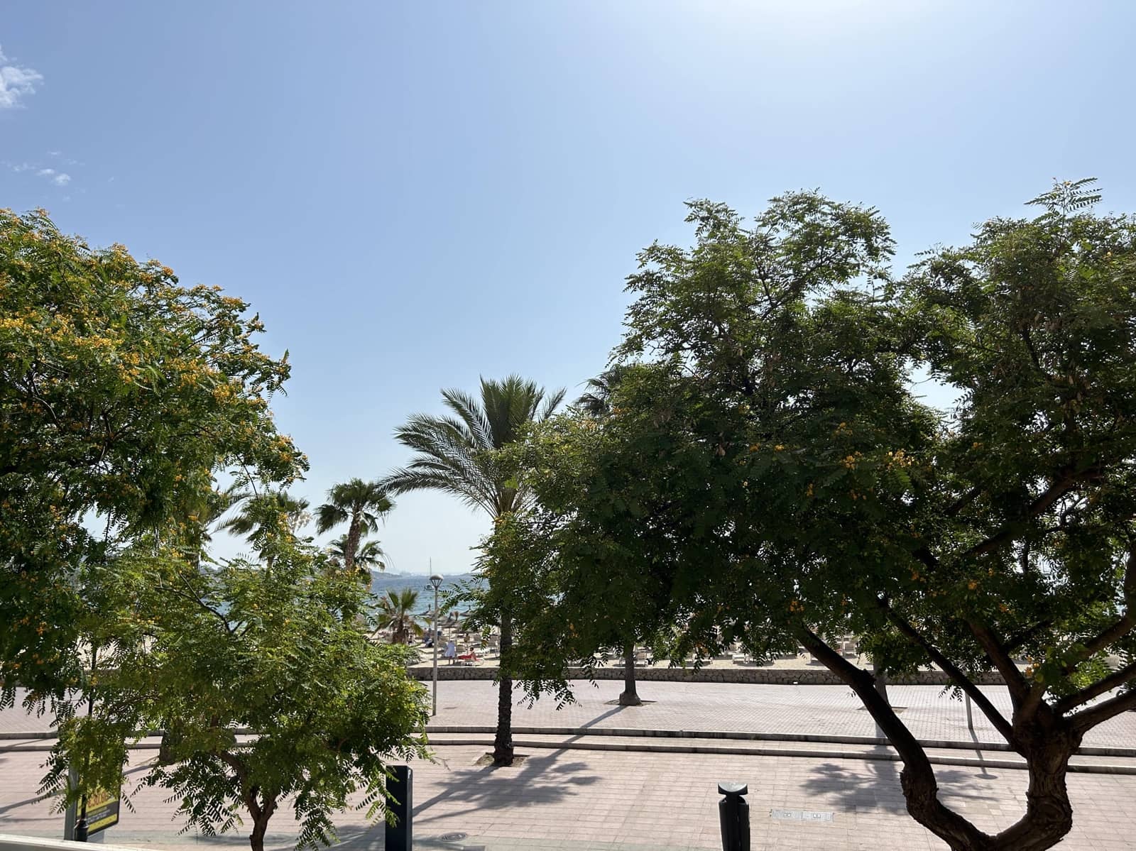 4 bedroom Apartment for rent in Palmanova - € 4,000 (Ref: 9074604)