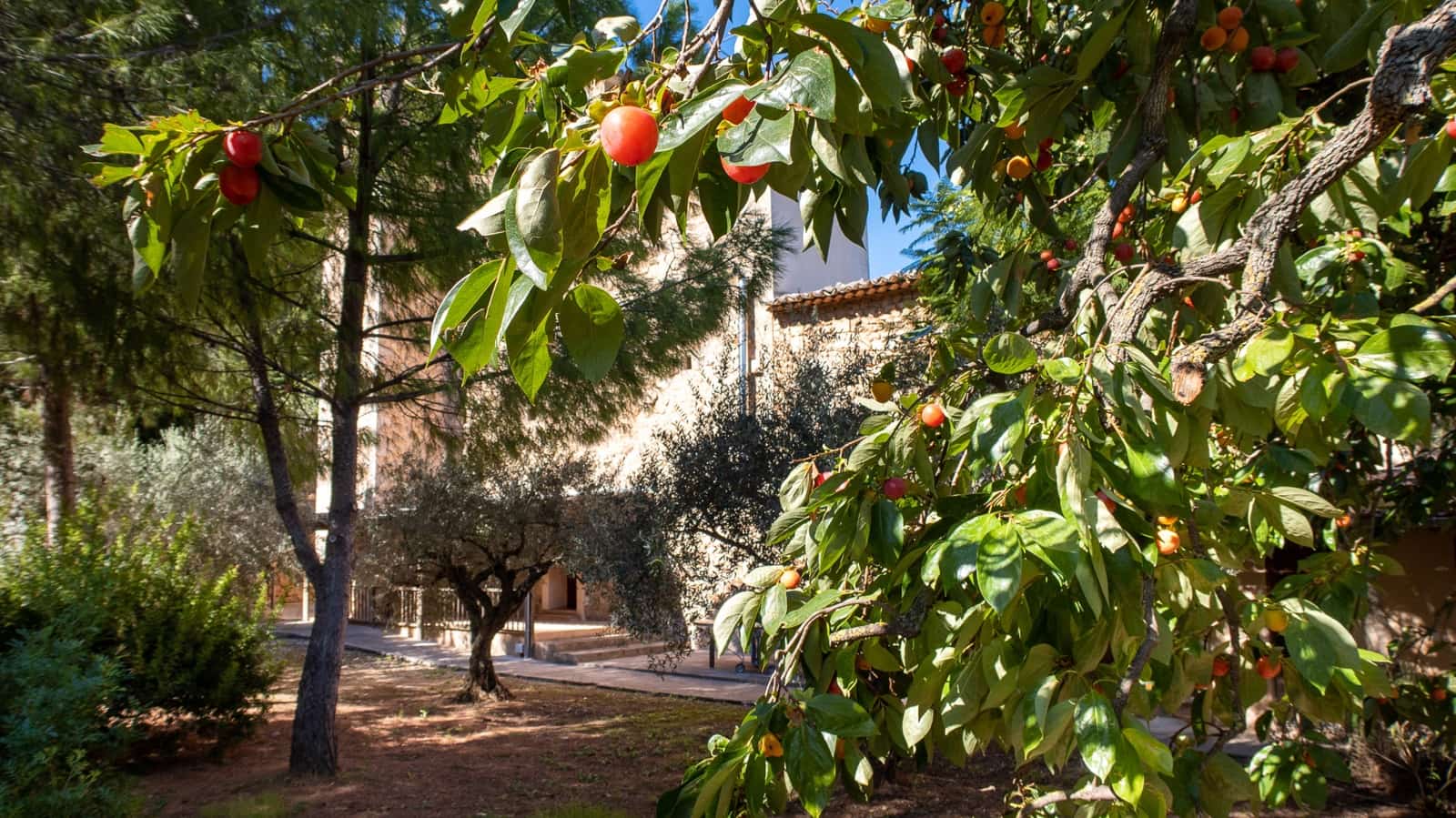 7 soveværelse Villa til salg i Soller med garage - € 2.999.000 (Ref: 9084645)