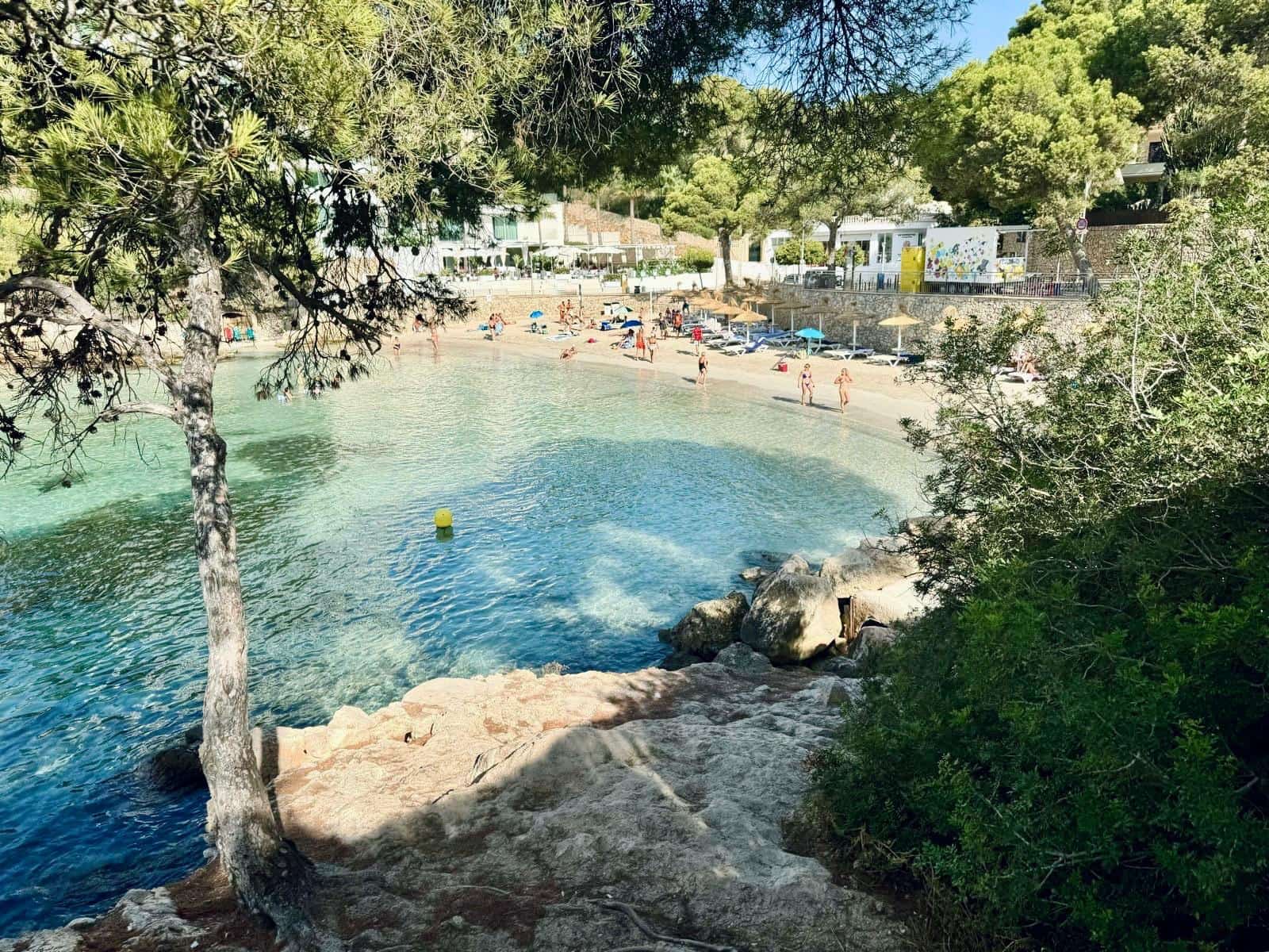 3 slaapkamer Appartement te huur in Portals Nous - € 2.300 (Ref: 9084648)