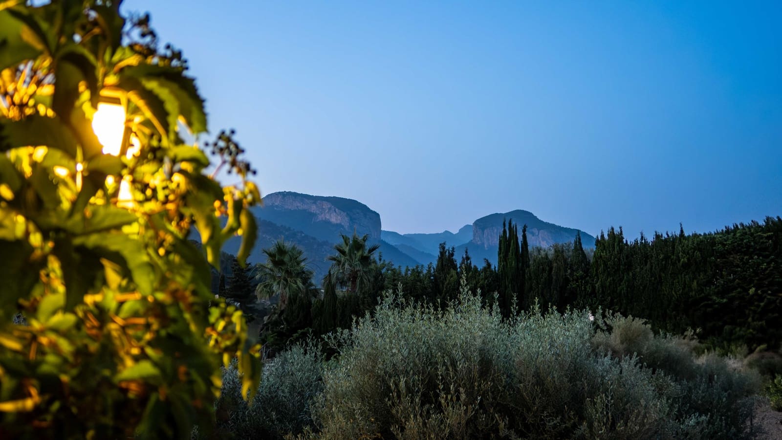 4 soveværelse Finca/Landehus til salg i Alaro med swimmingpool garage - € 2.495.000 (Ref: 9097659)