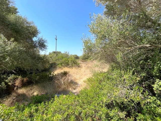 Byggegrund til salg i Manacor - € 400.000 (Ref: 9109851)