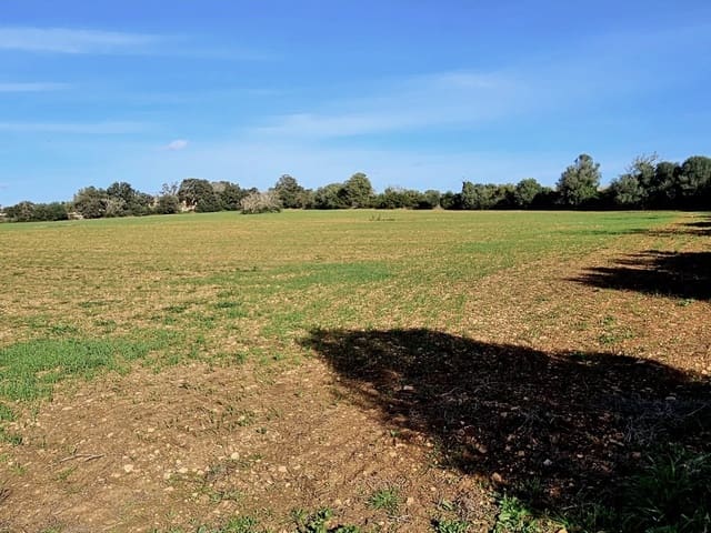 Bouwgrond te koop in Manacor - € 370.000 (Ref: 9118161)