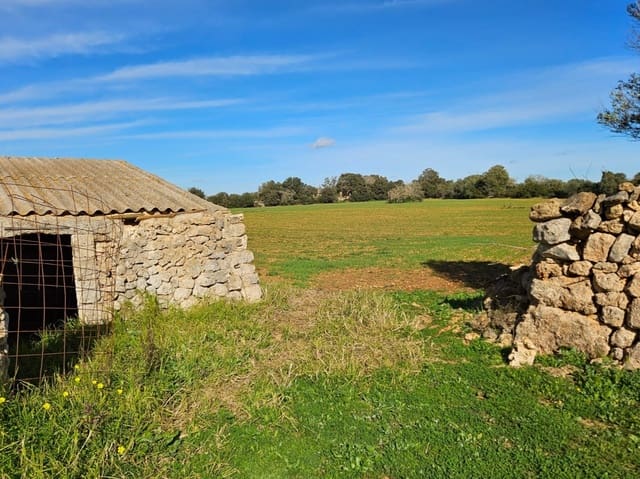 Bouwgrond te koop in Manacor - € 370.000 (Ref: 9118161)