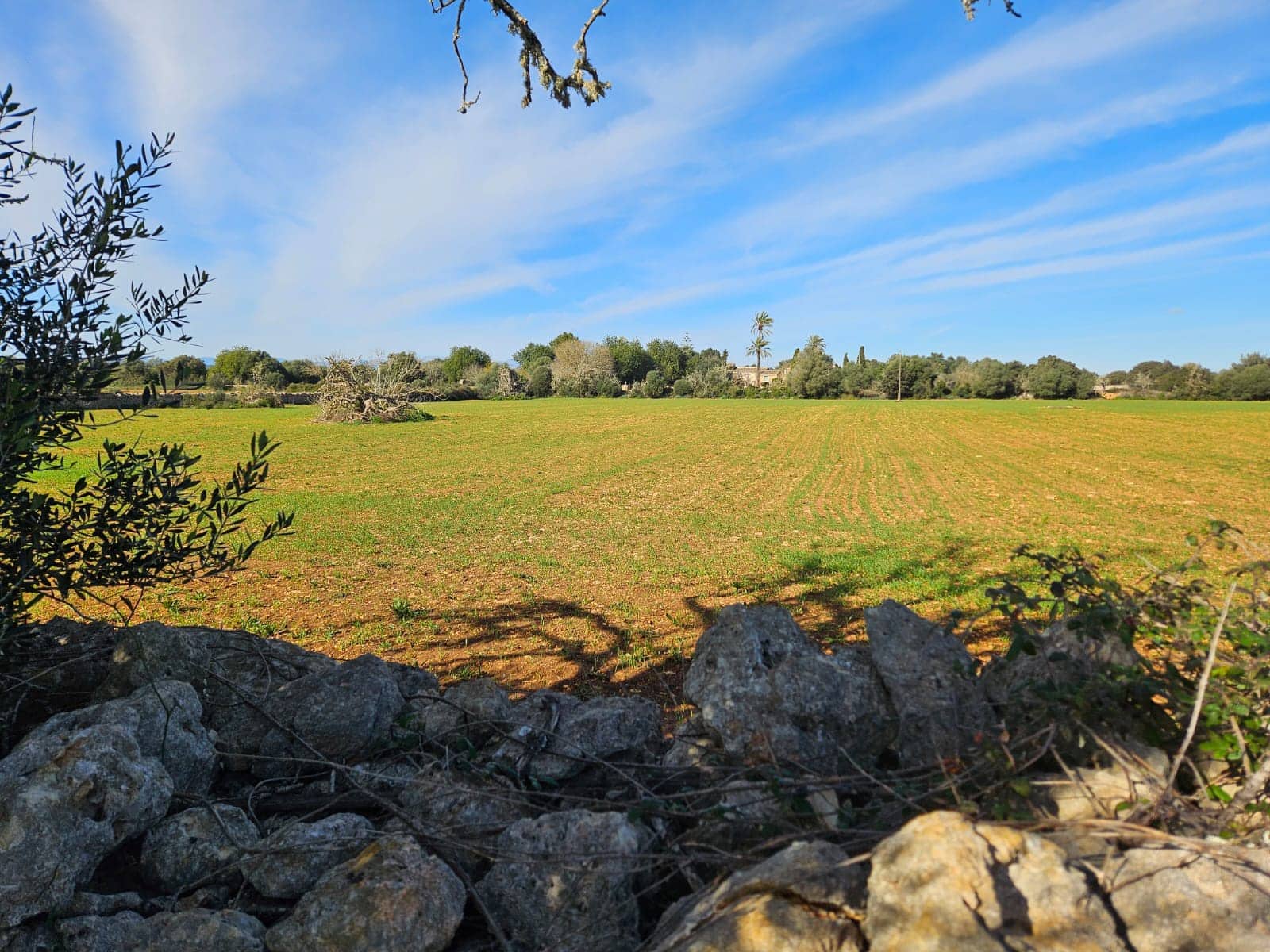 Byggetomt til salgs i Manacor - € 370 000 (Ref: 9118161)