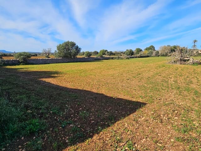 Bouwgrond te koop in Manacor - € 370.000 (Ref: 9118161)