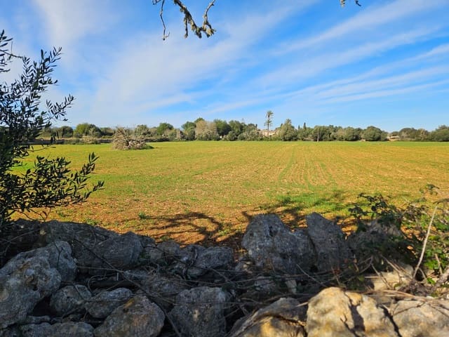 Bouwgrond te koop in Manacor - € 370.000 (Ref: 9118161)