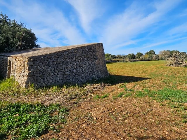 Bouwgrond te koop in Manacor - € 370.000 (Ref: 9118161)