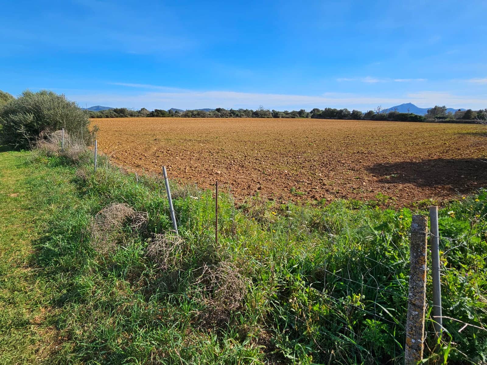 Byggetomt til salgs i Manacor - € 370 000 (Ref: 9118161)