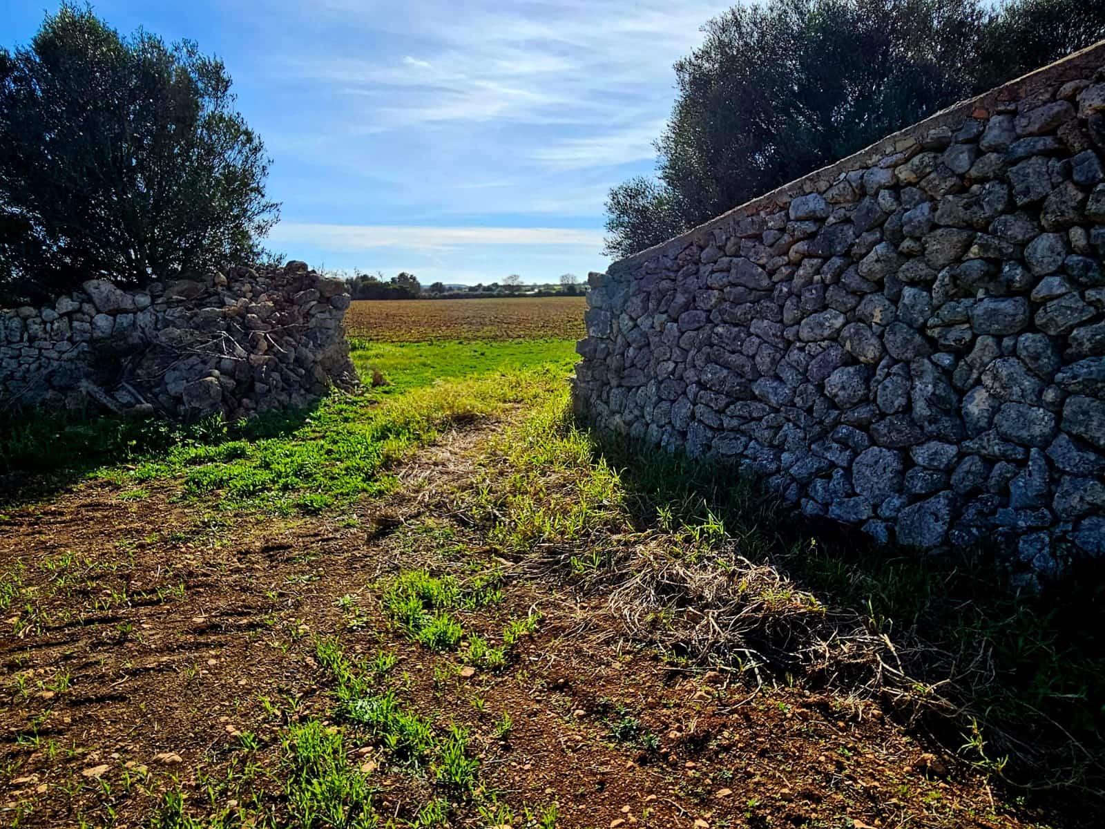 Byggetomt til salgs i Manacor - € 370 000 (Ref: 9118161)