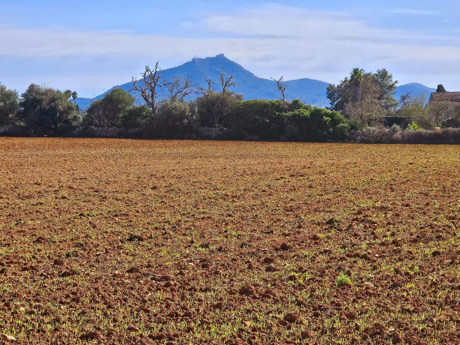 Byggetomt til salgs i Manacor - € 370 000 (Ref: 9118161)