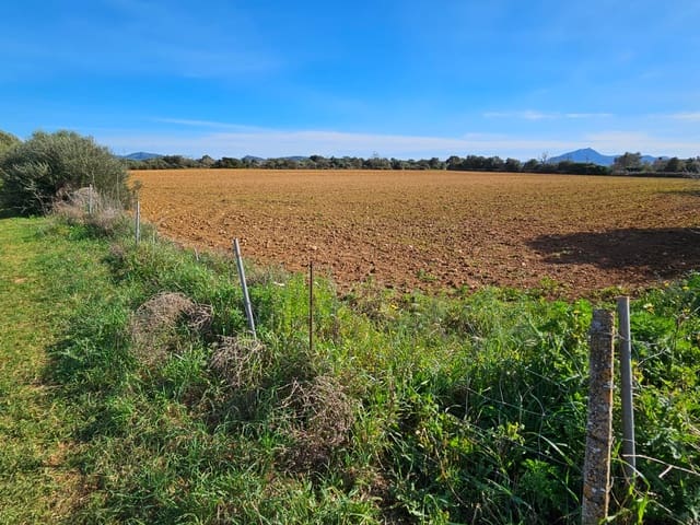 Bouwgrond te koop in Manacor - € 370.000 (Ref: 9118161)