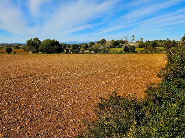 Bouwgrond te koop in Manacor - € 370.000 (Ref: 9118161)