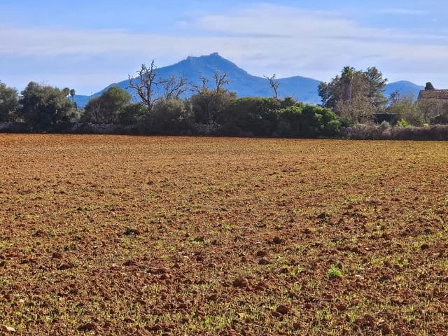 Bouwgrond te koop in Manacor - € 370.000 (Ref: 9118161)