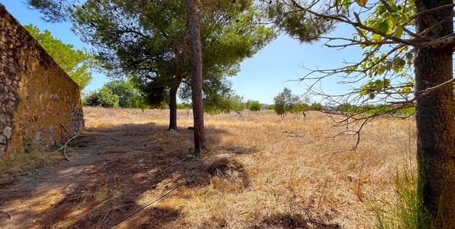 Building Plot for sale in Portocristo / Port de Manacor, Manacor - € 450,000 (Ref: 9136364)