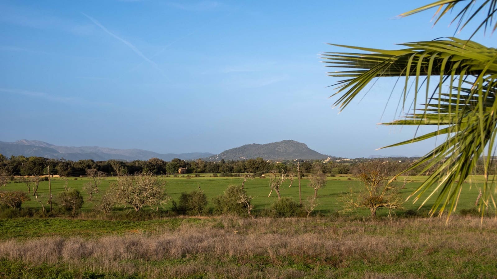 5 sypialnia Finka/Dom wiejski na sprzedaż w Sencelles z basenem garażem - 3 500 000 € (Ref: 9138760)