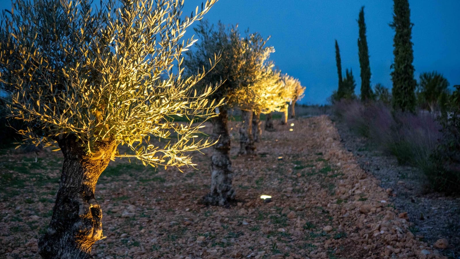 5 sypialnia Finka/Dom wiejski na sprzedaż w Sencelles z basenem garażem - 3 500 000 € (Ref: 9138760)