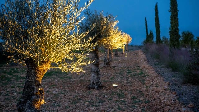 5 bedroom Finca/Country House for sale in Sencelles with pool garage - € 3,500,000 (Ref: 9138760)