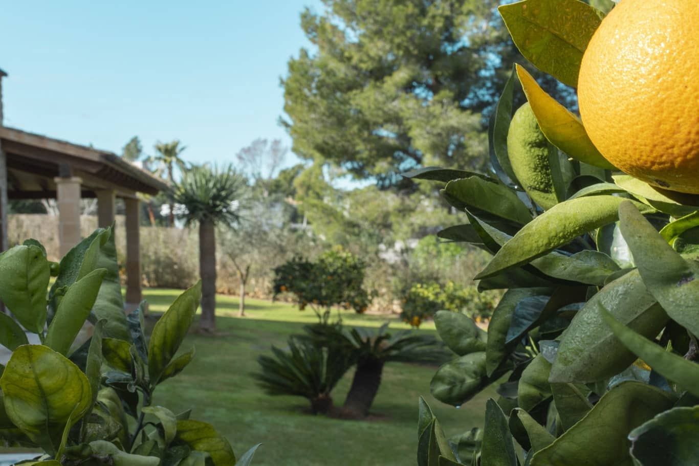 5 camera da letto Villa da affittare in Santa Ponsa con garage - 15.500 € (Rif: 9151118)