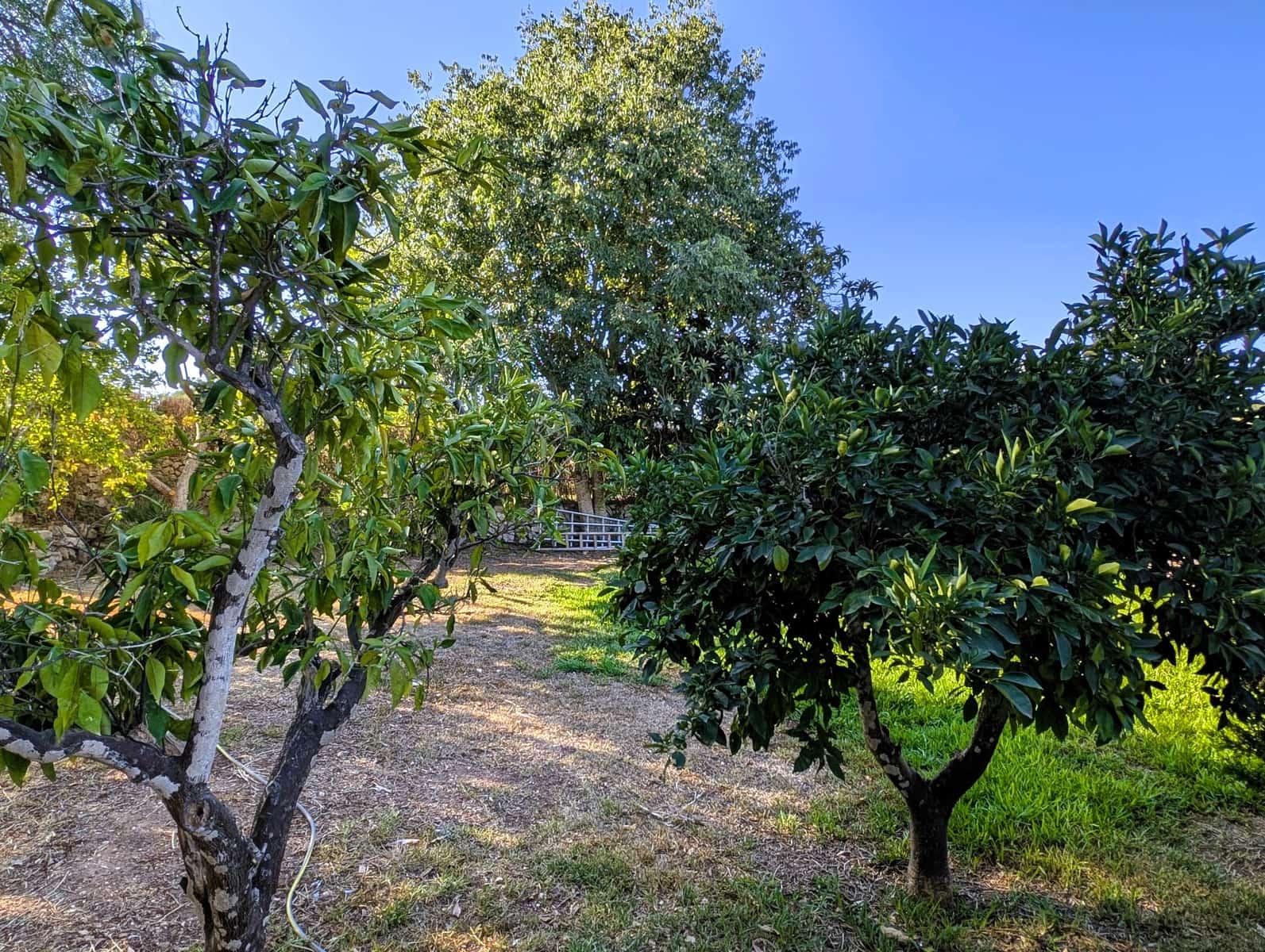 4 soverom Finca/Herregård til leie i Cas Concos med svømmebasseng garasje - € 2 900 (Ref: 9161840)