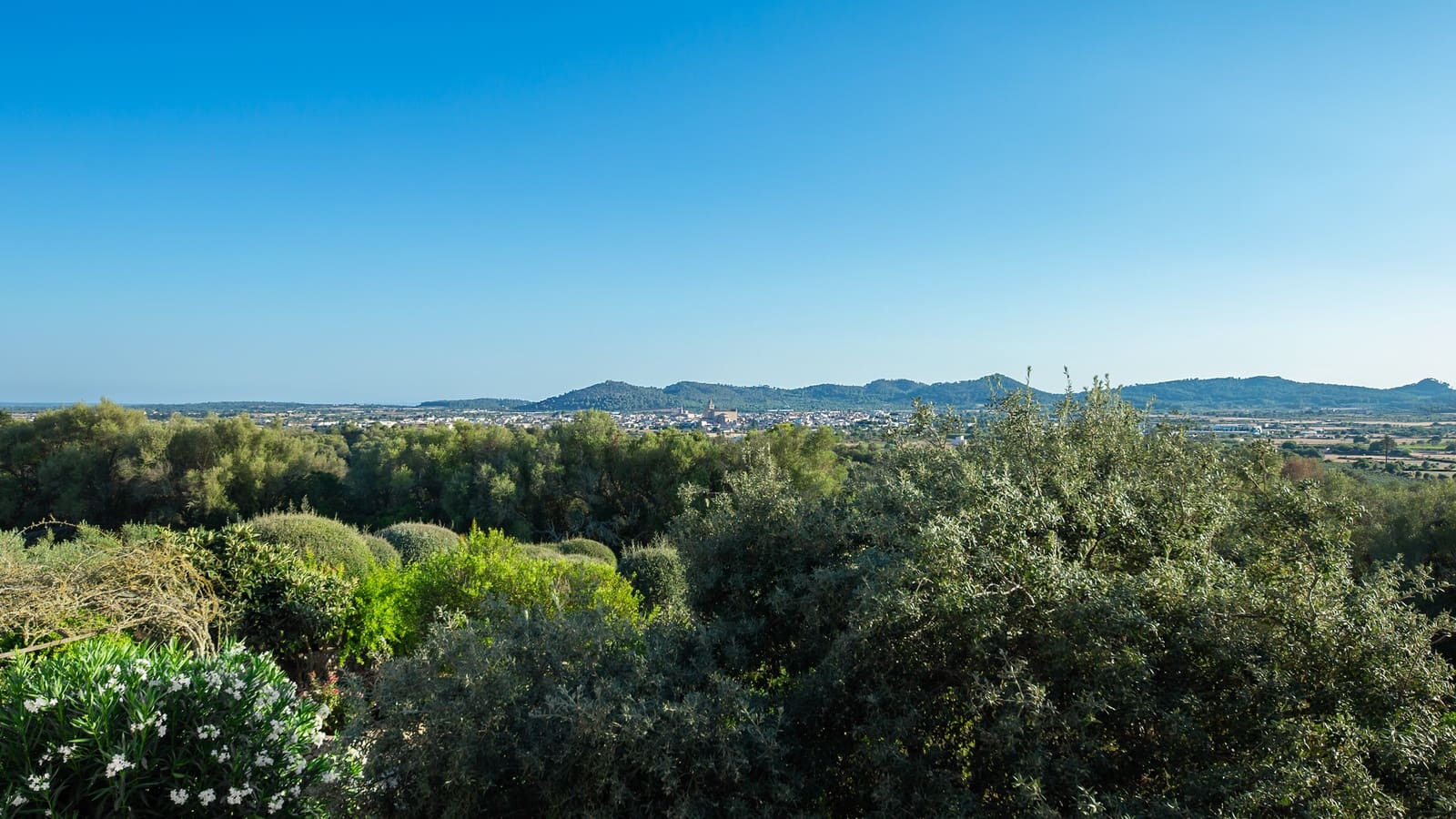 4 bedroom Finca/Country House for sale in Porreres with pool garage - € 5,800,000 (Ref: 9161845)