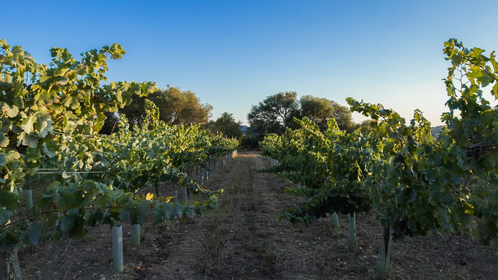 4 bedroom Finca/Country House for sale in Porreres with pool garage - € 5,800,000 (Ref: 9161845)