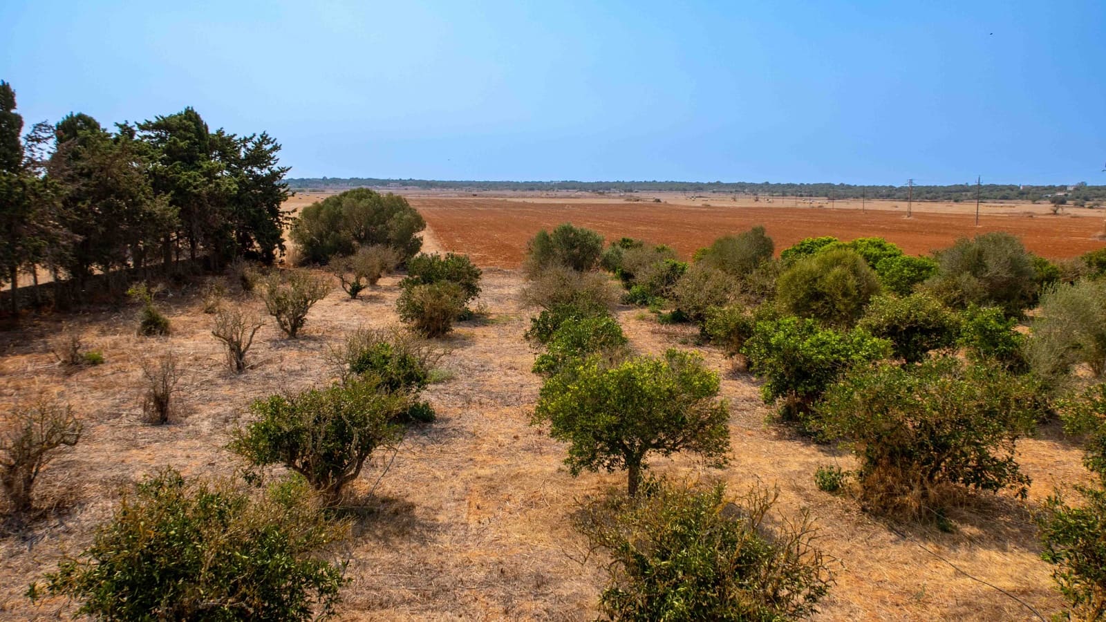 17 camera da letto Finca/Casa di Campagna in vendita in Santanyi con piscina garage - 1.790.000 € (Rif: 9163199)