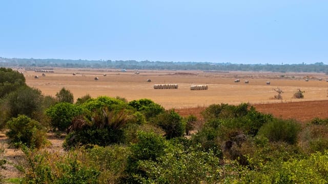 17 soveværelse Finca/Landehus til salg i Santanyí med swimmingpool garage - € 1.790.000 (Ref: 9163199)