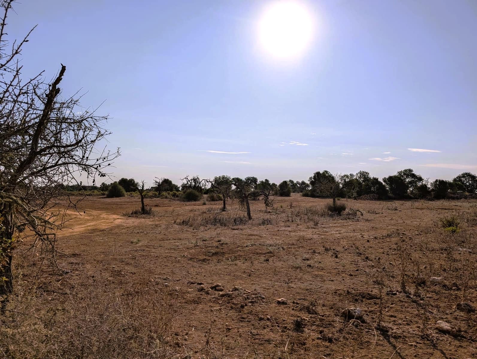 Byggegrund til salg i Santanyi - € 525.000 (Ref: 9175983)