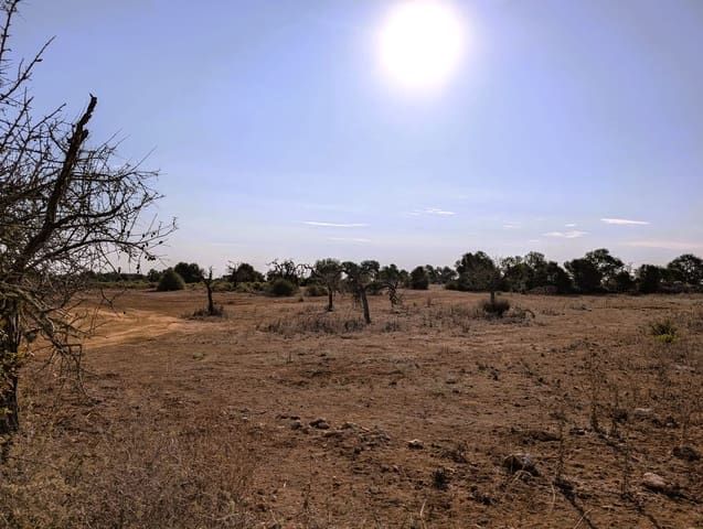 Building Plot for sale in Santanyí - € 525,000 (Ref: 9175983)