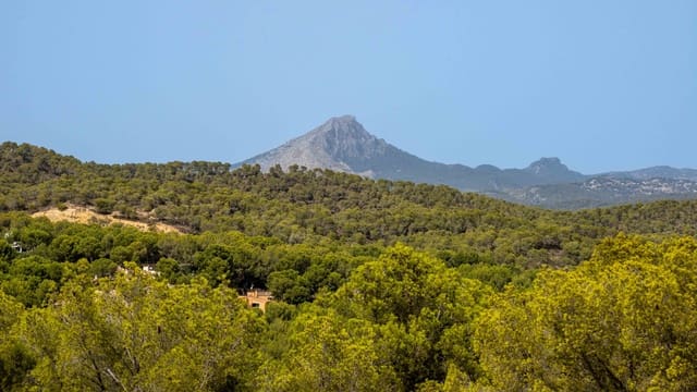 5 slaapkamer Villa te koop in Costa de la Calma, Calvià met zwembad garage - € 3.000.000 (Ref: 9195063)