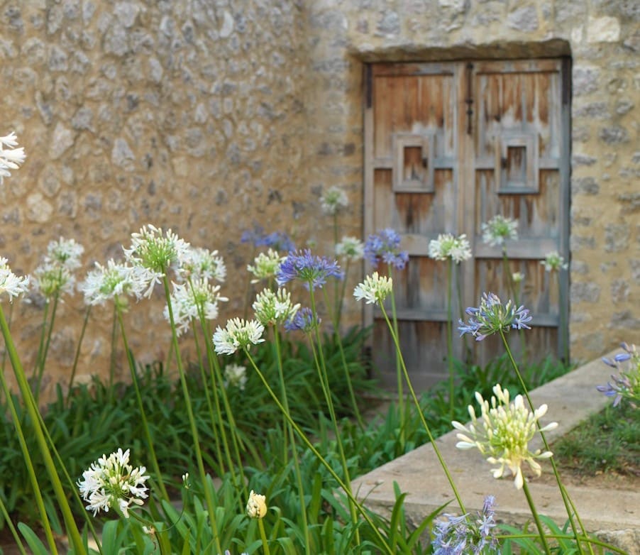 4 soveværelse Finca/Landehus til leje i Arta med swimmingpool garage - € 9.800 (Ref: 9200182)