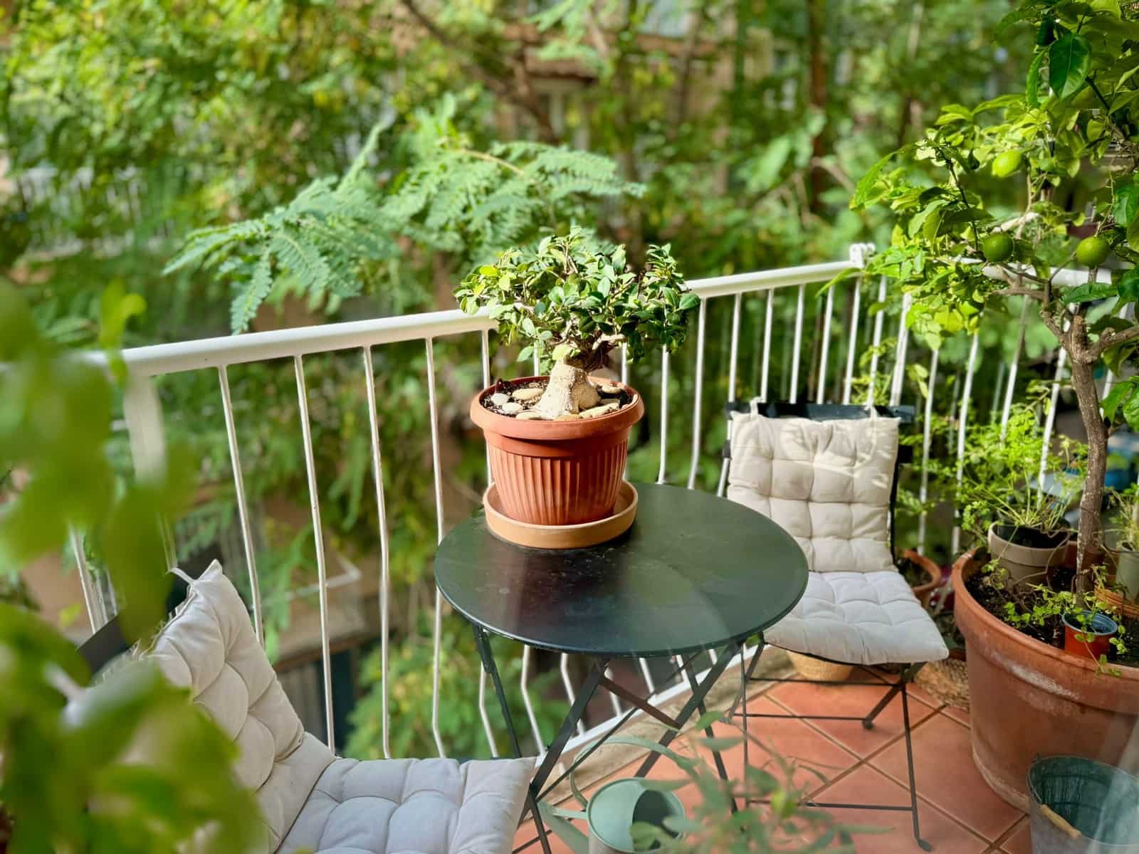 2 slaapkamer Appartement te huur in Palma de Mallorca - € 2.300 (Ref: 9200184)