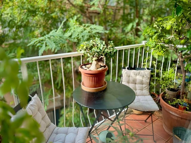 2 bedroom Apartment for rent in Jaume III, Palma de Mallorca - € 2,300 (Ref: 9200184)