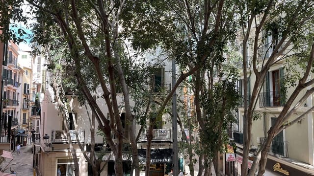 3 bedroom Apartment for rent in Cort, Palma de Mallorca - € 2,500 (Ref: 9207793)