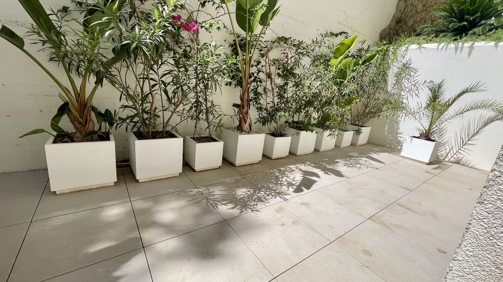 3 makuuhuone Huoneisto vuokrattavana paikassa Cala Mayor mukana uima-altaan 
autotalli - 6 500 € (Ref: 9216663)