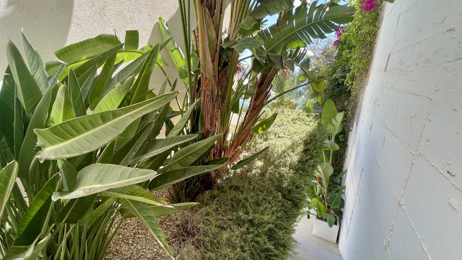 3 makuuhuone Huoneisto vuokrattavana paikassa Cala Mayor mukana uima-altaan 
autotalli - 6 500 € (Ref: 9216663)