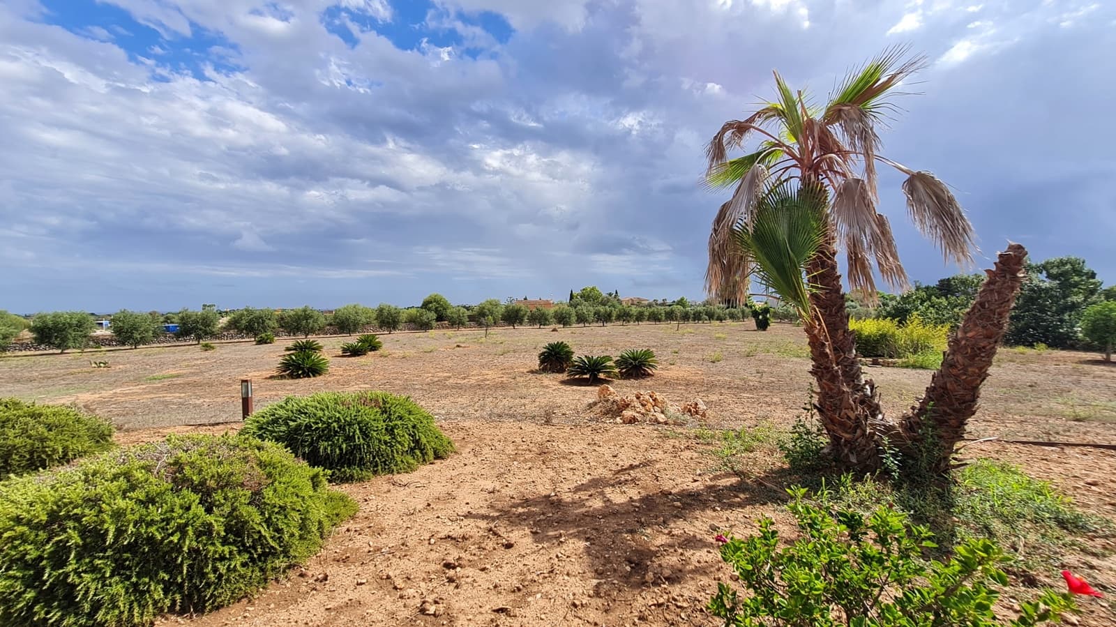 4 camera da letto Finca/Casa di Campagna da affittare in Portocristo / Port de Manacor con piscina garage - 5.000 € (Rif: 9235810)