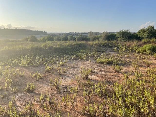 Tomt till salu i Ariany - 350 000 € (Ref: 9242418)