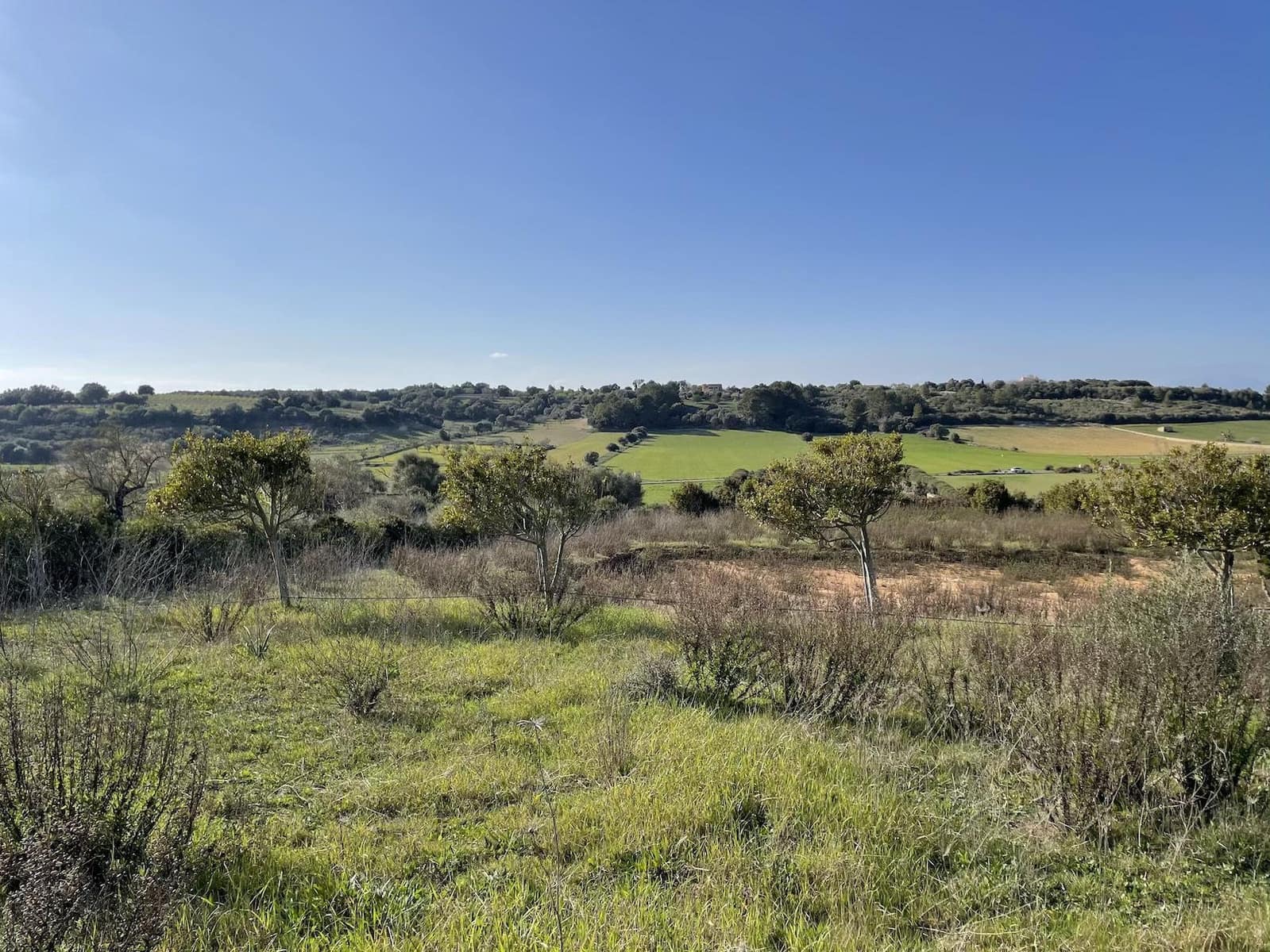 Bouwgrond te koop in Ariany - € 350.000 (Ref: 9242418)