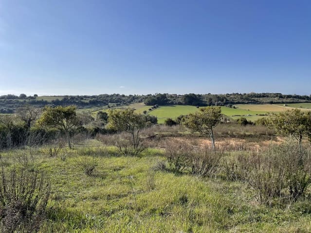 Tomt till salu i Ariany - 350 000 € (Ref: 9242418)