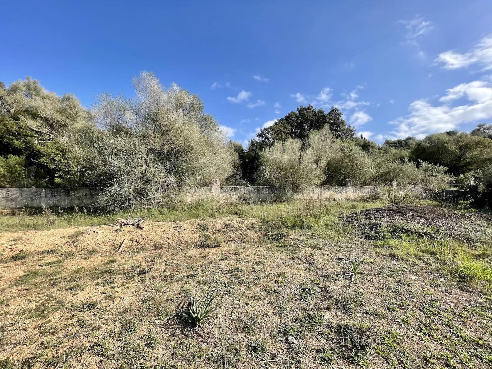 Bouwgrond te koop in Ariany - € 350.000 (Ref: 9242418)