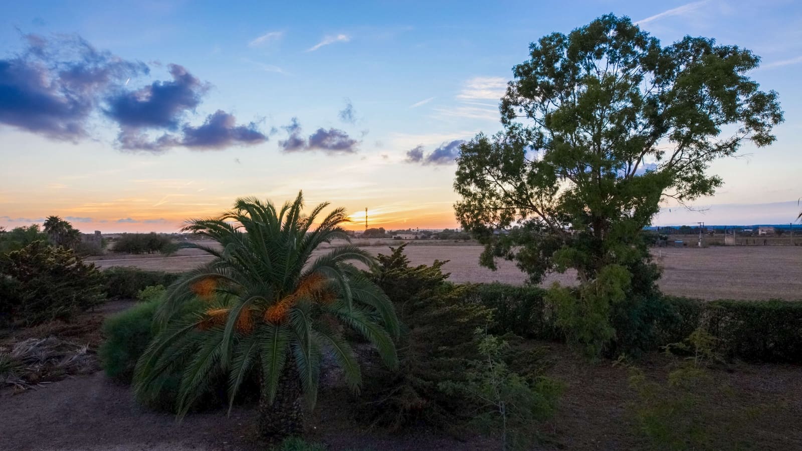 5 slaapkamer Finca/Landhuis te koop in Campos met garage - € 2.350.000 (Ref: 9246069)