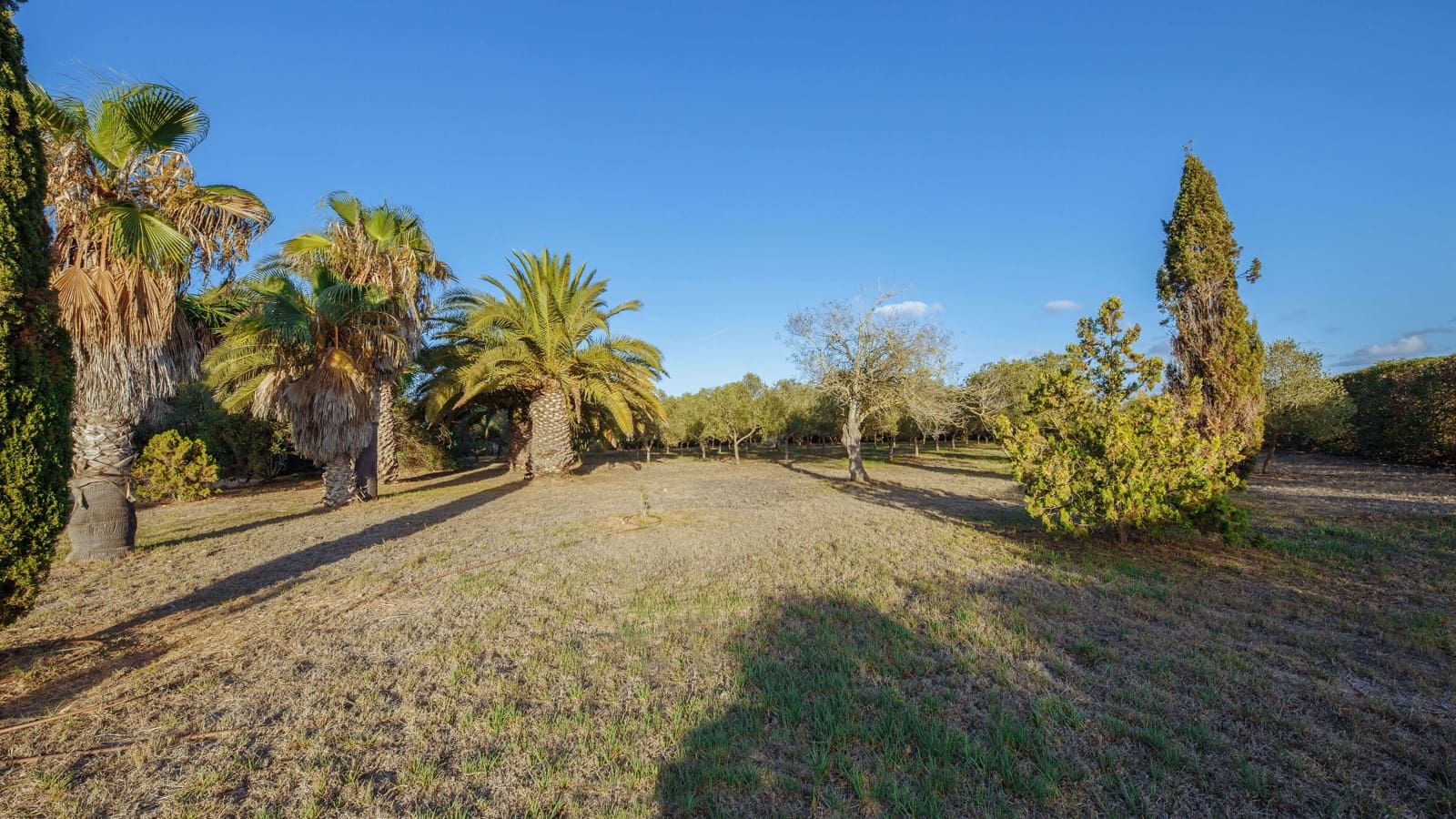 5 slaapkamer Finca/Landhuis te koop in Campos met garage - € 2.350.000 (Ref: 9246069)