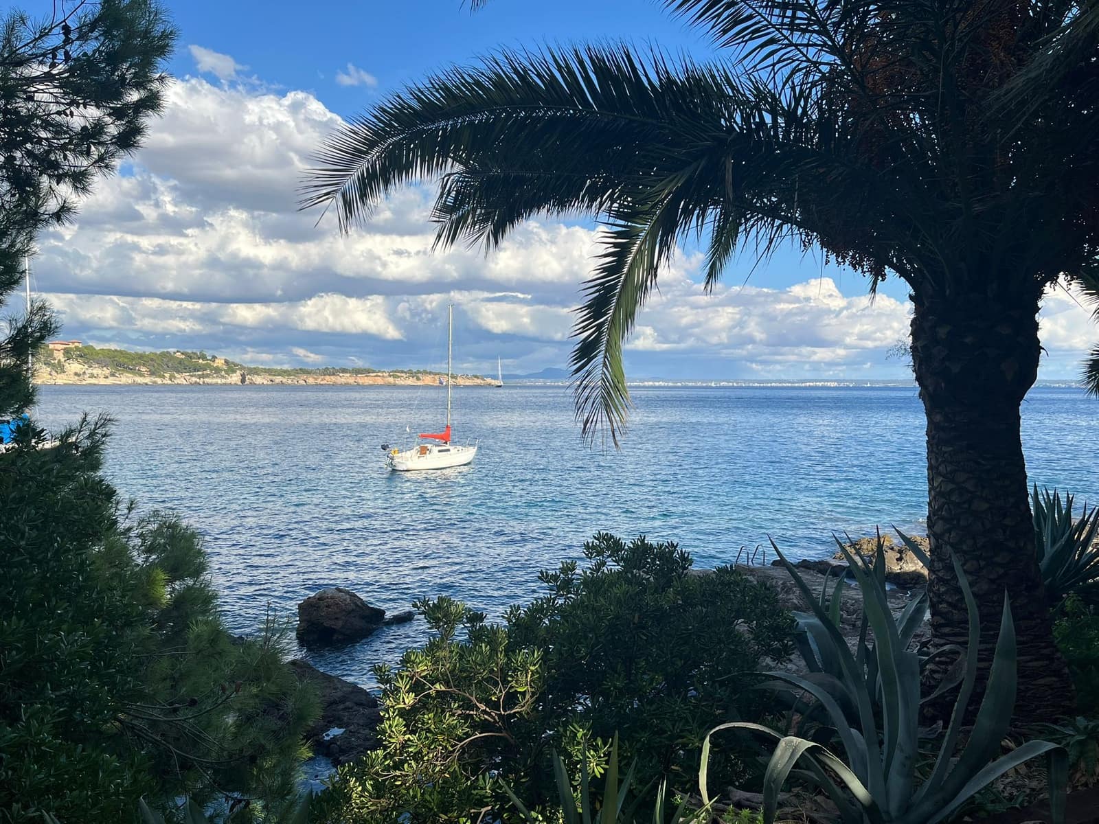 1 slaapkamer Appartement te huur in Cas Catala met zwembad garage - € 2.850 (Ref: 9263818)