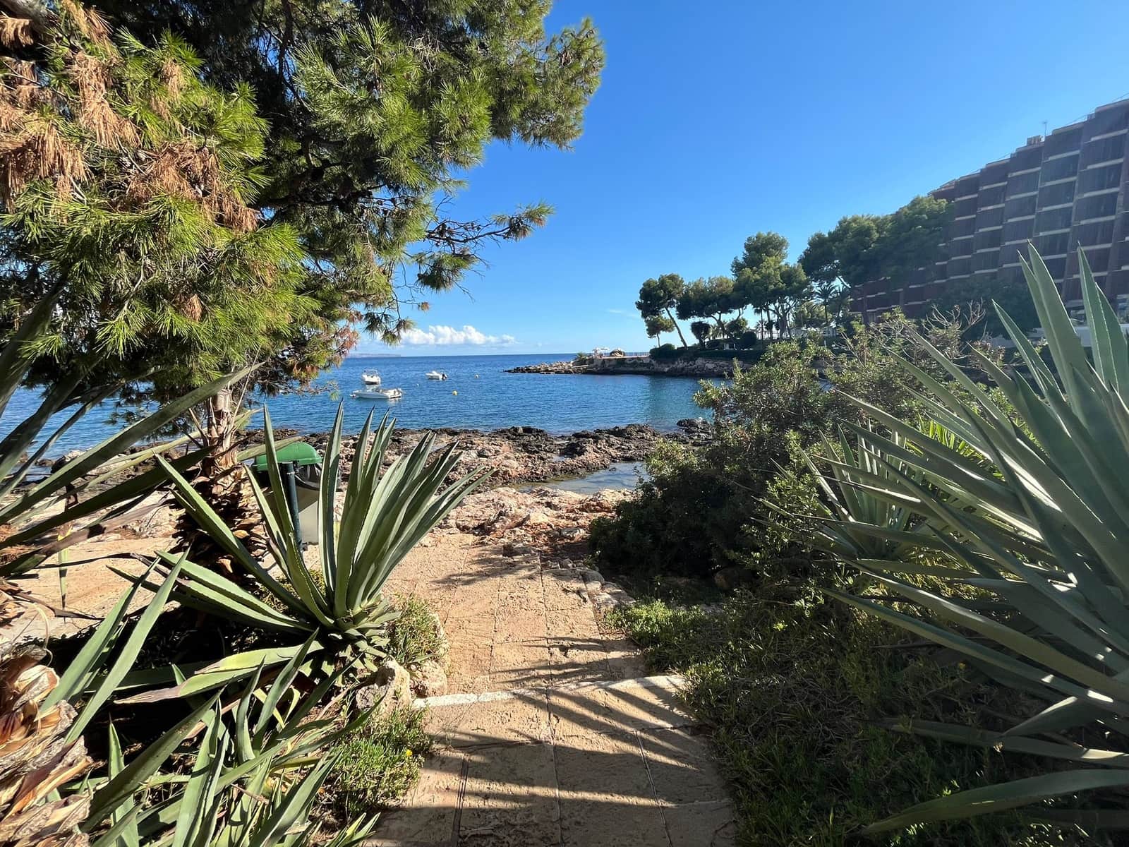 1 slaapkamer Appartement te huur in Cas Catala met zwembad garage - € 2.850 (Ref: 9263818)