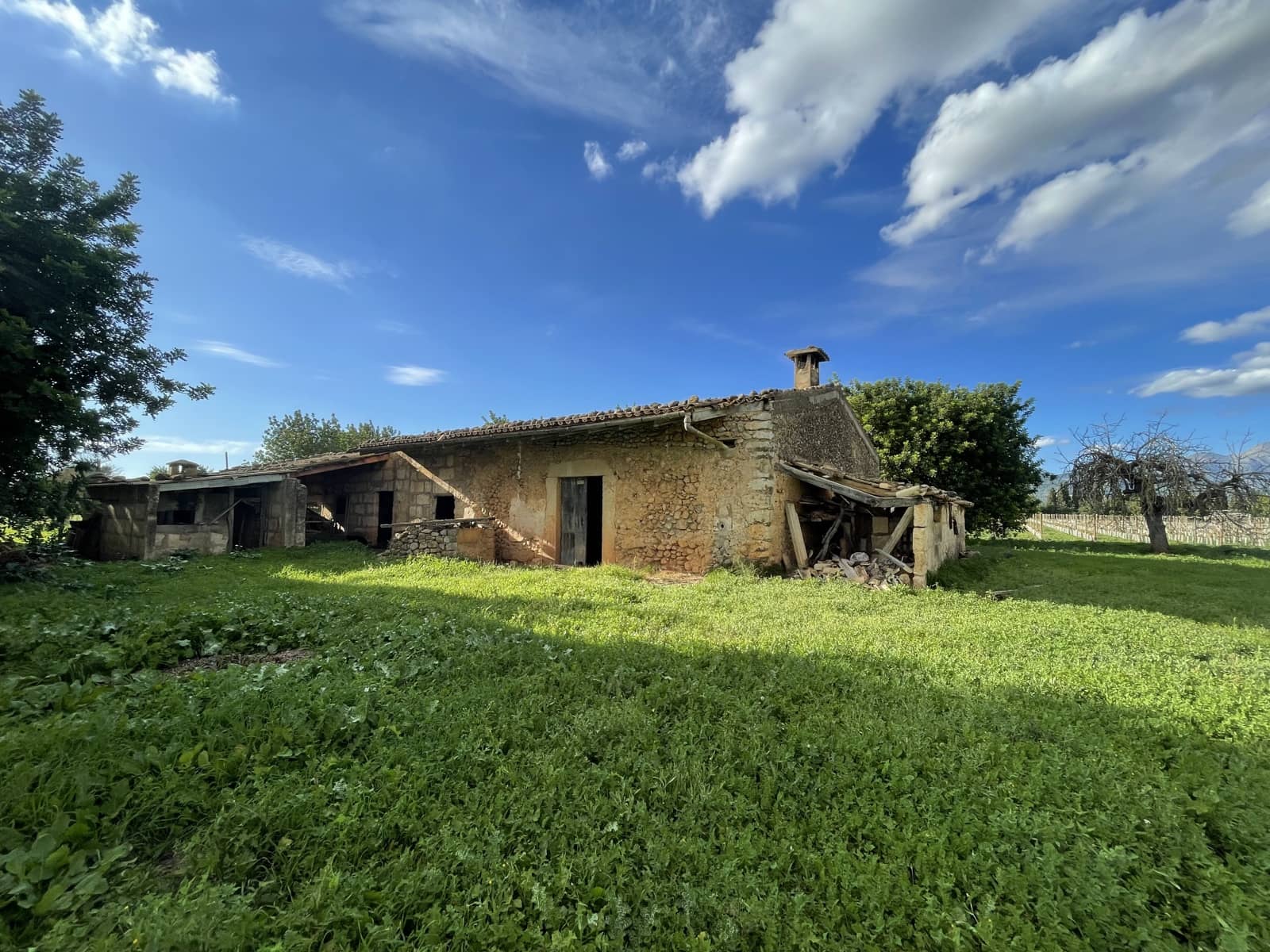 Byggegrund til salg i Inca - € 2.000.000 (Ref: 9271896)