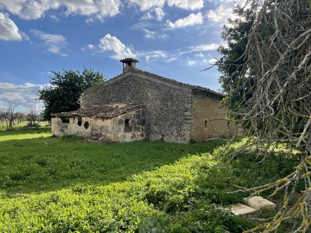 Byggegrund til salg i Inca - € 2.000.000 (Ref: 9271896)